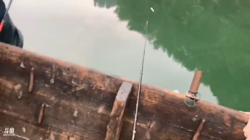 【2021-09-18 07点场】魅力生活i：今天鳜鱼翘嘴疯狂出货