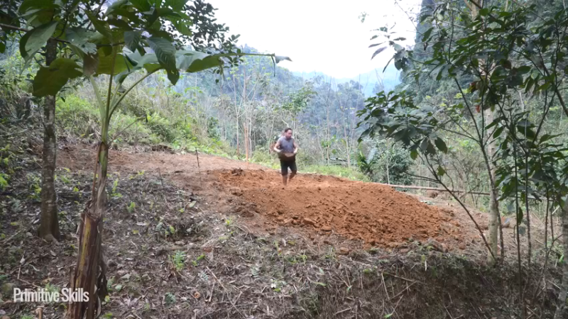 二基地第65天新房墙壁2《如果你一无所有 进入单人我的世界，自由荒野 离网乐园 全手工制作耕种 快乐野外生活 》