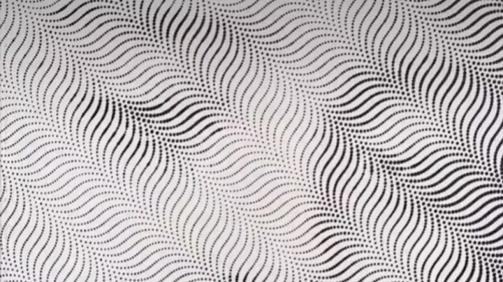 直播回放的第一天