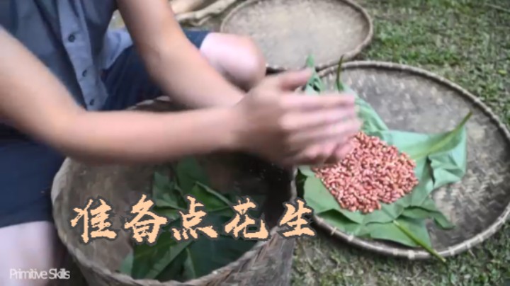 准备点花生 二基地57种植 育种 【真人我的世界-空手发展-单人炼铁】