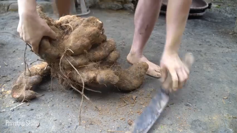 二基地第65天新房墙壁13《如果你一无所有 进入单人我的世界，自由荒野 离网乐园 全手工制作耕种 快乐野外生活 》