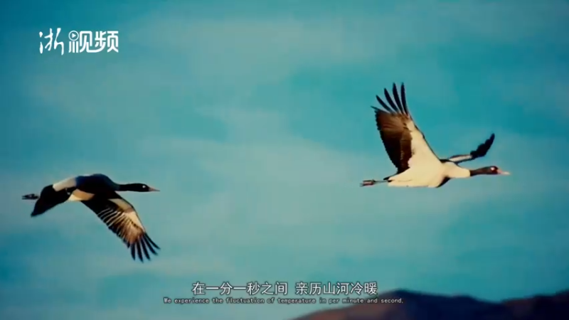 【2021-09-18 10点场】浙江日报直播室：探访嘉兴现代化农场 “穿皮鞋”也能种田