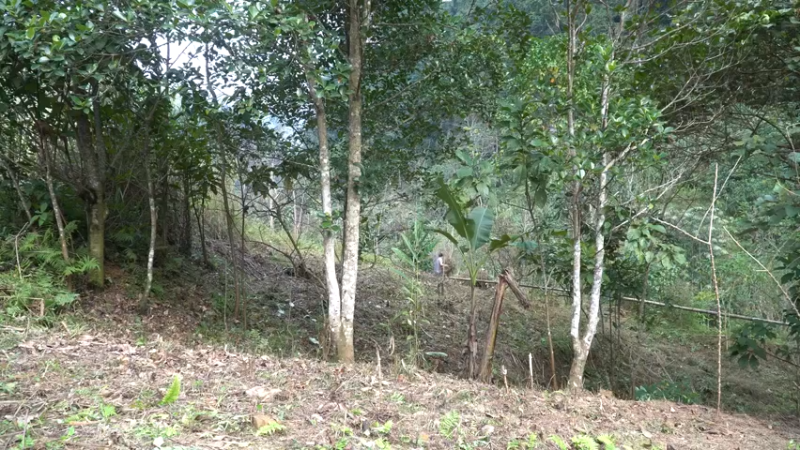 二基地64天打造工农具洛阳铲2《如果你一无所有 进入单人我的世界，自由荒野 离网乐园 全手工制作耕种 快乐野外生活 》