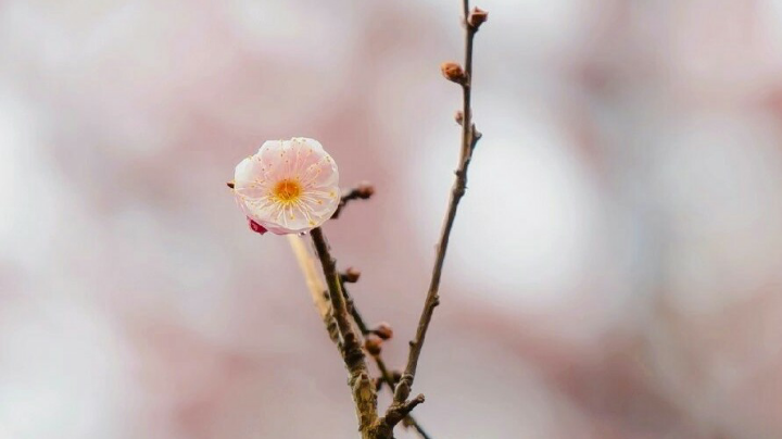 0912。05点