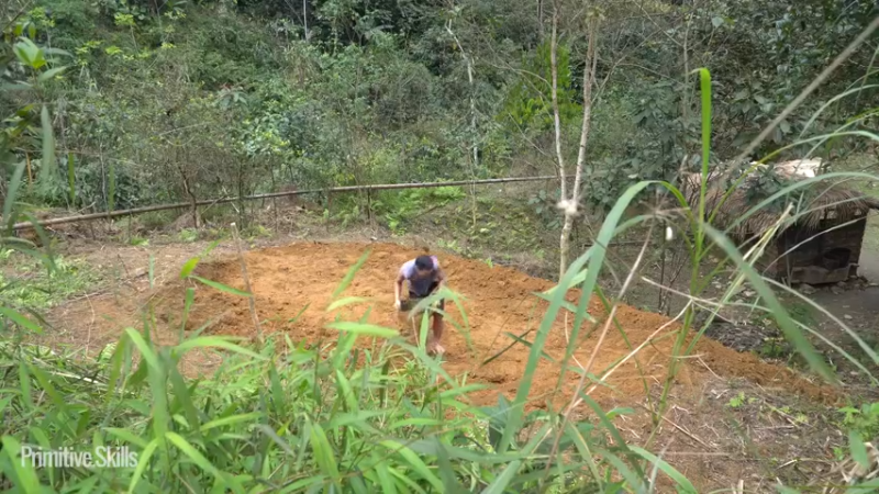 二基地第65天新房墙壁3《如果你一无所有 进入单人我的世界，自由荒野 离网乐园 全手工制作耕种 快乐野外生活 》