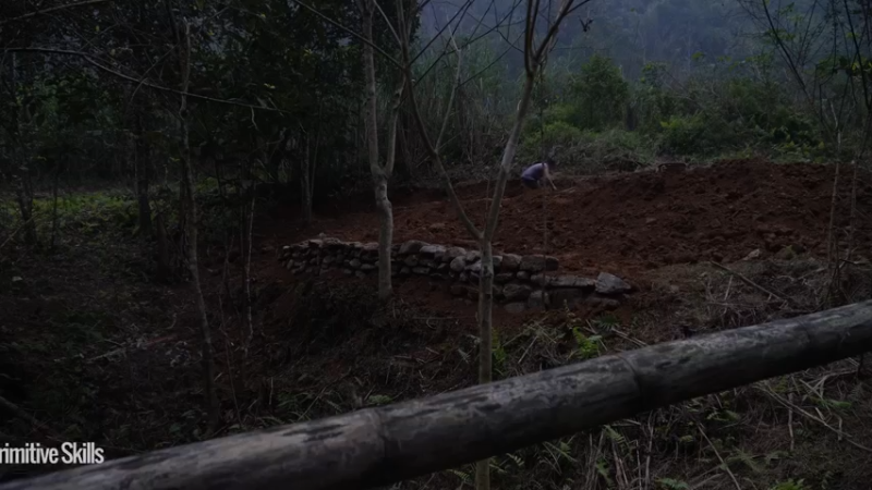 二基地第65天新房墙壁8《如果你一无所有 进入单人我的世界，自由荒野 离网乐园 全手工制作耕种 快乐野外生活 》