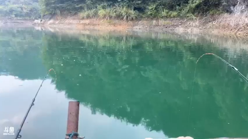 【2021-09-18 07点场】魅力生活i：今天鳜鱼翘嘴疯狂出货