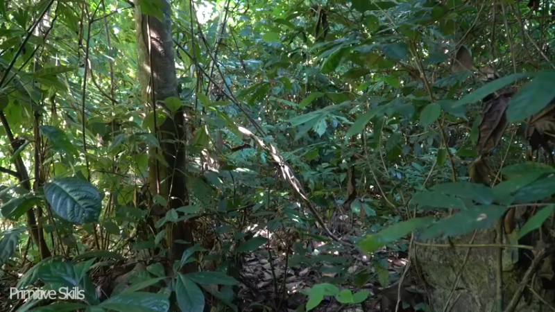 二基地T58用简单材料1制高温风箱《如果你一无所有 进入单人我的世界，自由荒野 离网乐园 全手工制作耕种 》