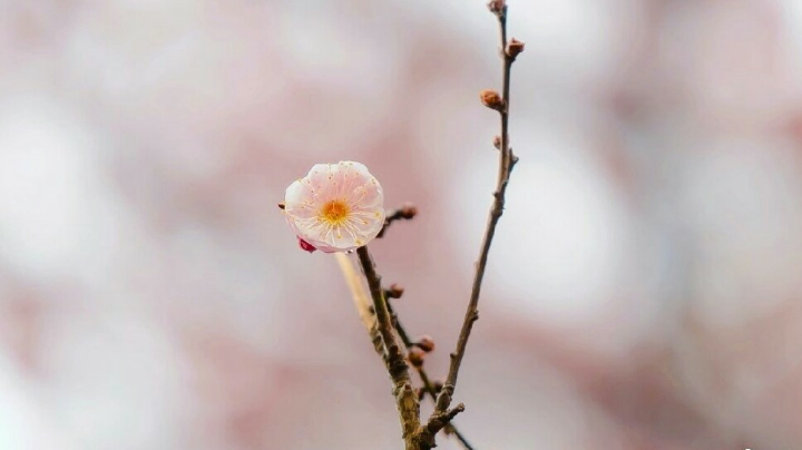 0912。01点