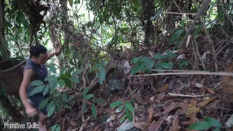 B基地的第72天在户外保持健康茶品2《如果你一无所有 进入单人我的世界，自由荒野 离网乐园 全手工制作耕种 快乐野外生活》