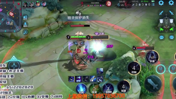 蓝羽本周带粉1