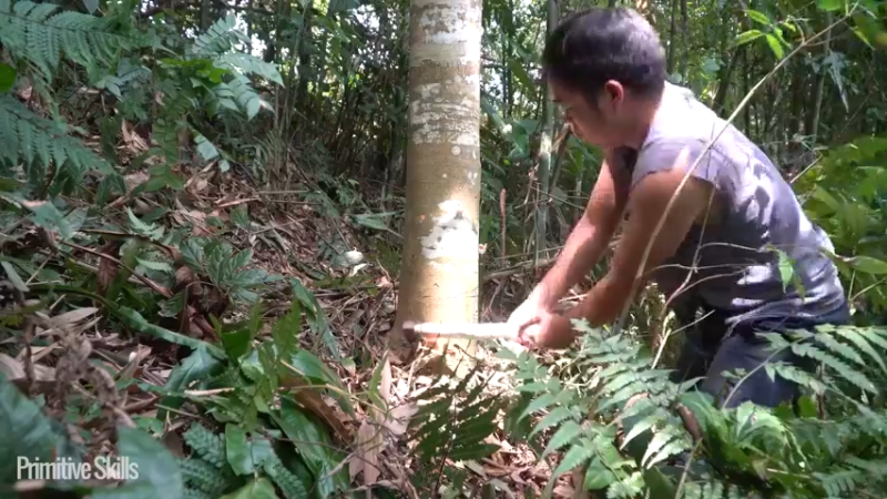 B基地的第70天新屋的框架2《如果你一无所有 进入单人我的世界，自由荒野 离网乐园 全手工制作耕种 快乐野外生活》