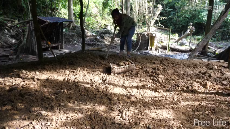 女生野外觅桃源W3竹屋建成2（妹子独自深入荒野隐居,建设世外桃源）