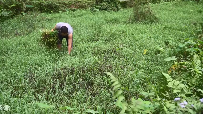 二基地的第68天准备种稻子13《如果你一无所有 进入单人我的世界，自由荒野 离网乐园 全手工制作耕种 快乐野外生活 》