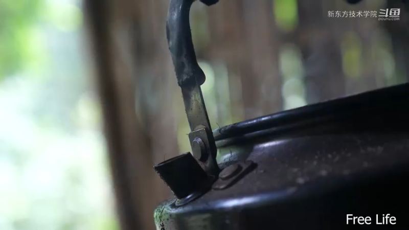 女生野外觅桃源W9制作农家酸菜1#妹子独自深入荒野隐居，建设世外桃源