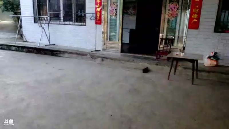 【2021-09-19 08点场】魅力生活i：开心打野快乐美食