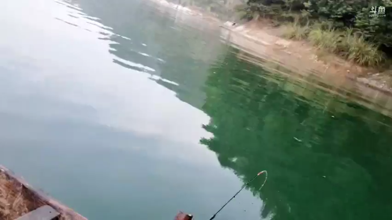 【2021-09-19 06点场】魅力生活i：早口怎么样？