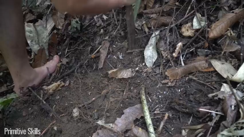 B基地的第72天在户外保持健康茶品3《如果你一无所有 进入单人我的世界，自由荒野 离网乐园 全手工制作耕种 快乐野外生活》