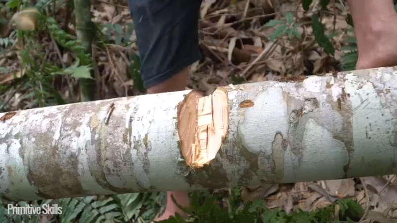 B基地的第70天新屋的框架4《如果你一无所有 进入单人我的世界，自由荒野 离网乐园 全手工制作耕种 快乐野外生活》