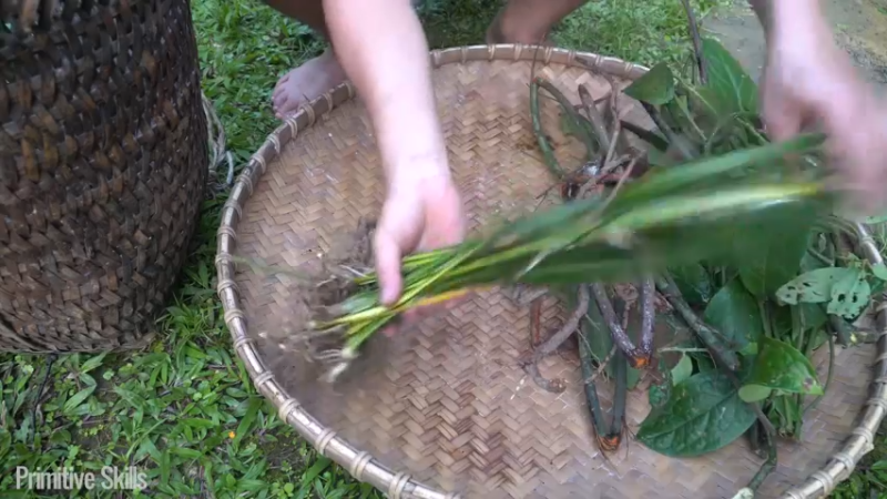 B基地的第72天在户外保持健康茶品6《如果你一无所有 进入单人我的世界，自由荒野 离网乐园 全手工制作耕种 快乐野外生活》