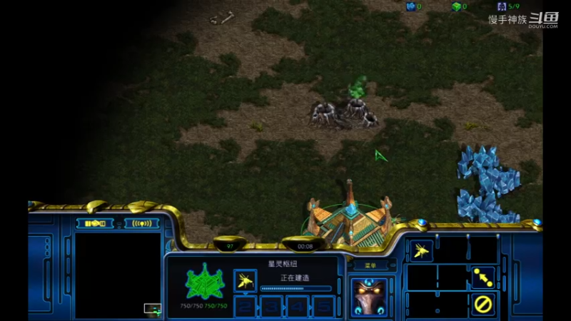 pvt斗魂2021-09-19-36