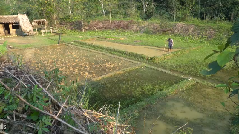 二基地的第68天准备种稻子6《如果你一无所有 进入单人我的世界，自由荒野 离网乐园 全手工制作耕种 快乐野外生活 》