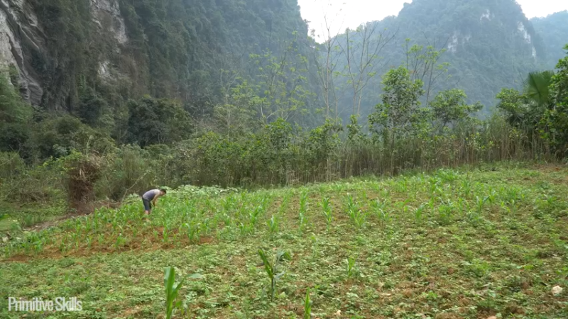 二基地第67天打锄头才是主力13《如果你一无所有 进入单人我的世界，自由荒野 离网乐园 全手工制作耕种 快乐野外生活 》