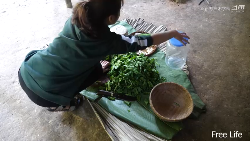 女生野外觅桃源W9制作农家酸菜12#妹子独自深入荒野隐居，建设世外桃源