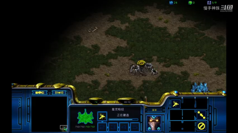 pvt斗魂2021-09-19-50
