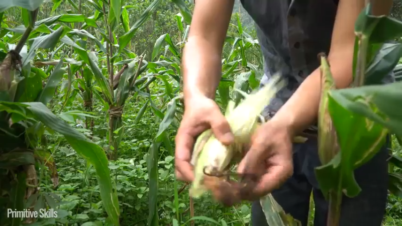 B基地的第99天B基地倒塌5《如果你一无所有 进入单人我的世界，自由荒野 离网乐园 全手工制作耕种 快乐野外生活》