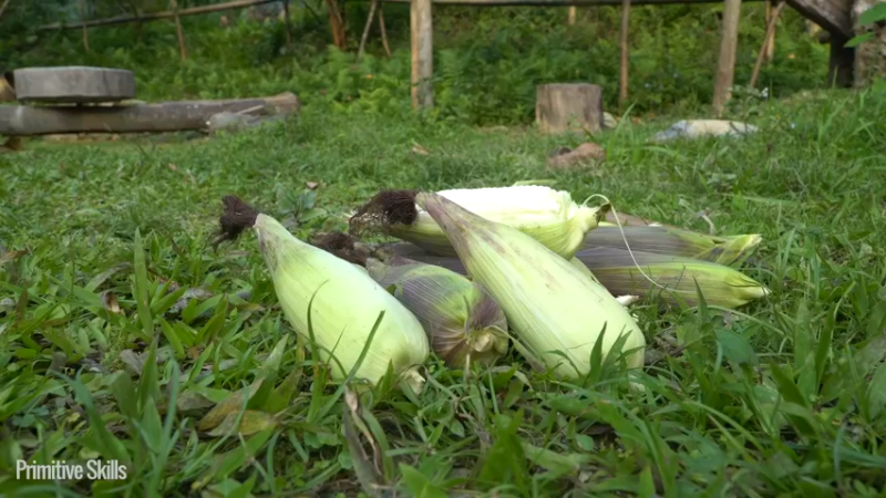 B基地的第99天B基地倒塌6《如果你一无所有 进入单人我的世界，自由荒野 离网乐园 全手工制作耕种 快乐野外生活》