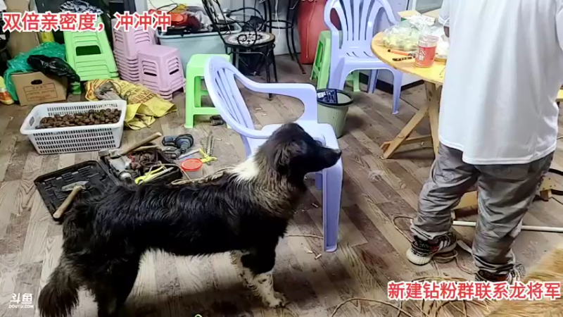 【2021-09-19 20点场】逐梦兄弟：502紫牌大哥的一天