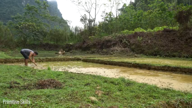 二基地的第68天准备种稻子11《如果你一无所有 进入单人我的世界，自由荒野 离网乐园 全手工制作耕种 快乐野外生活 》