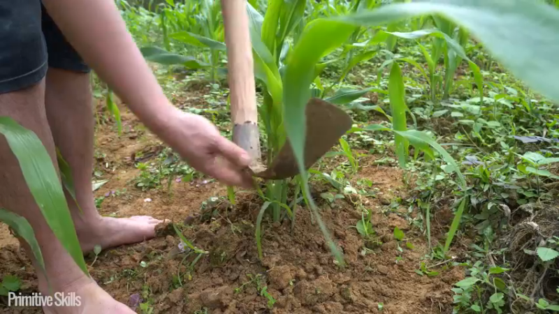 二基地第67天打锄头才是主力12《如果你一无所有 进入单人我的世界，自由荒野 离网乐园 全手工制作耕种 快乐野外生活 》