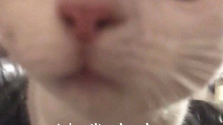 噬月4技术女主播带老板遨游铂金陨星