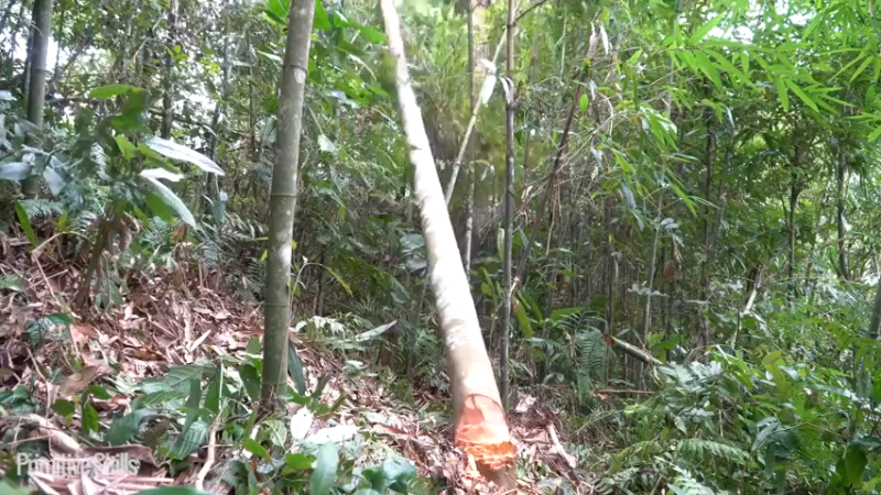 B基地的第70天新屋的框架3《如果你一无所有 进入单人我的世界，自由荒野 离网乐园 全手工制作耕种 快乐野外生活》