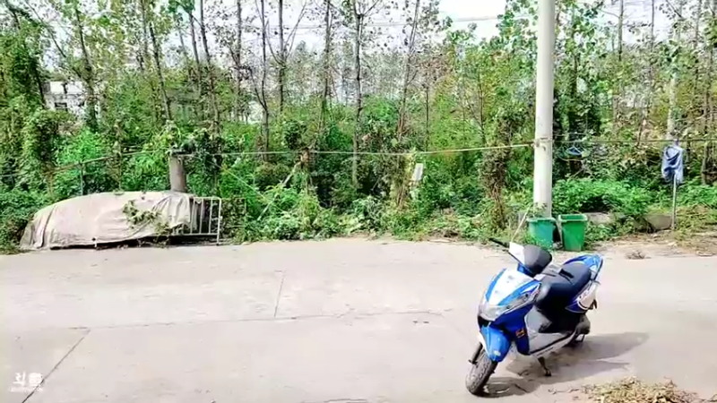 【2021-09-19 11点场】洪湖小肖：怼个大坑玩一下