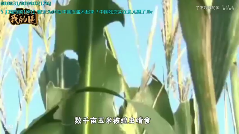 【2021-09-19 11点场】了不起我的国：中医真的是没用么？