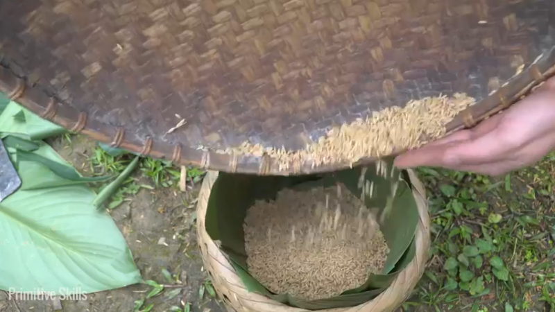 二基地的第68天准备种稻子2《如果你一无所有 进入单人我的世界，自由荒野 离网乐园 全手工制作耕种 快乐野外生活 》