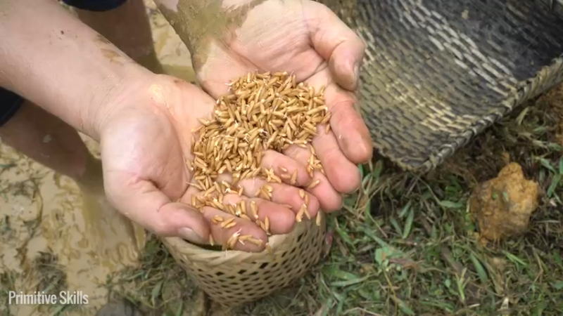 二基地的第68天准备种稻子4《如果你一无所有 进入单人我的世界，自由荒野 离网乐园 全手工制作耕种 快乐野外生活 》