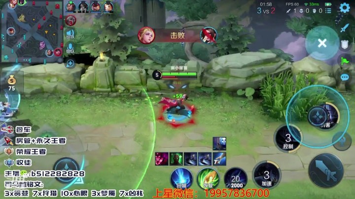 蓝羽本周带粉11