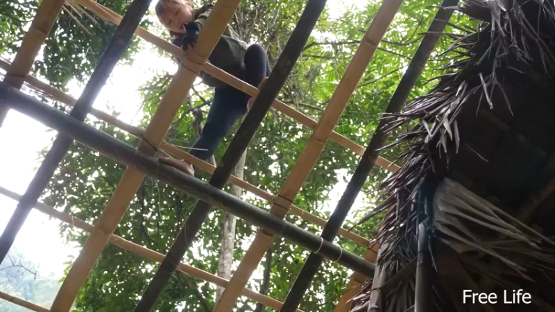 女生野外觅桃源W10吃？建厨房15（妹子独自深入荒野隐居,建设世外桃源）