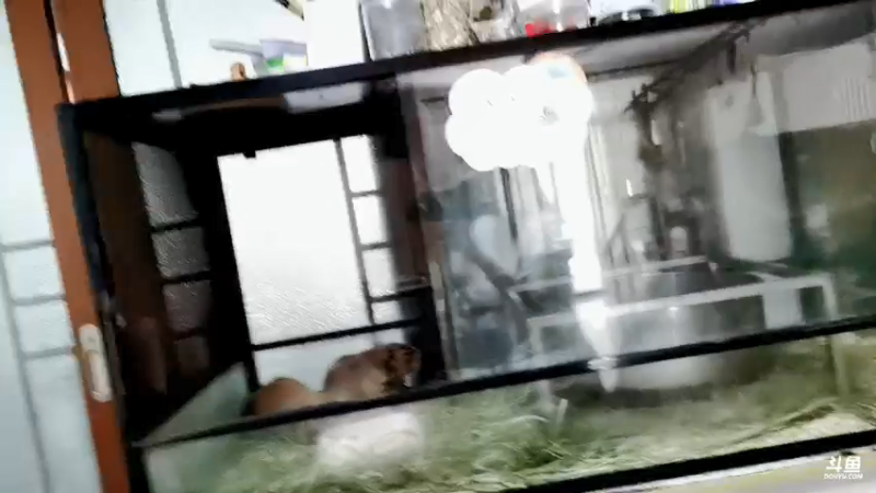【2021-09-19 16点场】晒网的慧儿呀：又是开心的一天呢 4941977