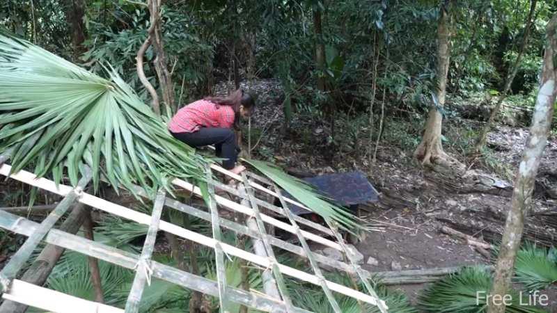 女生野外觅桃源W2建竹屋11（妹子独自深入荒野隐居,建设世外桃源）