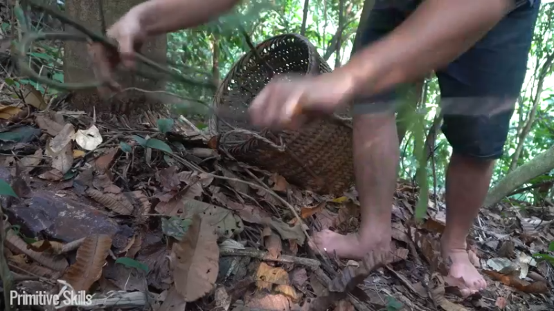 B基地的第72天在户外保持健康茶品4《如果你一无所有 进入单人我的世界，自由荒野 离网乐园 全手工制作耕种 快乐野外生活》