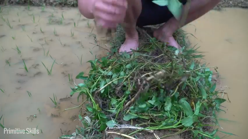 二基地的第68天准备种稻子14《如果你一无所有 进入单人我的世界，自由荒野 离网乐园 全手工制作耕种 快乐野外生活 》