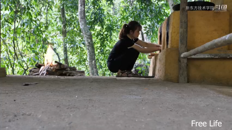 野外觅桃源W19建造私人游泳池8#妹子独自深入荒野隐居，建设世外桃源