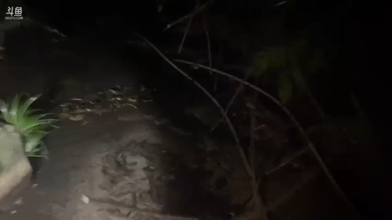 【2021-09-20 21点场】魅力生活i：香辣螃蟹油炸大河虾