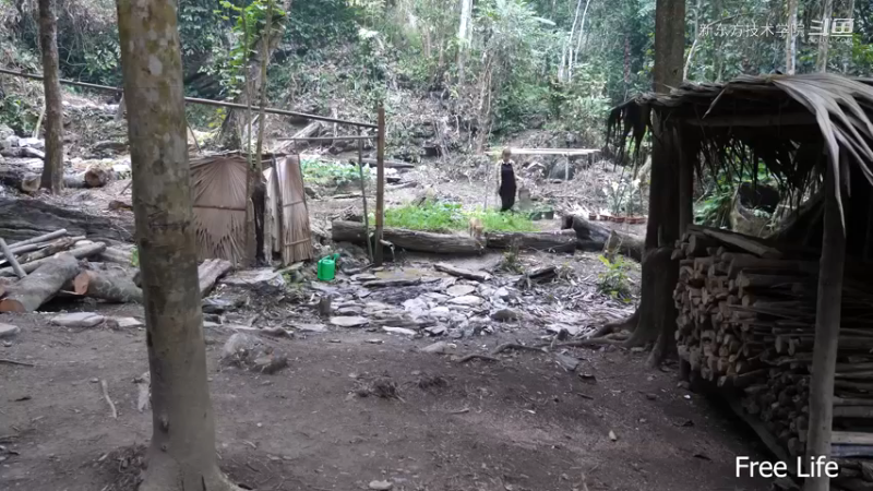 野外觅桃源W13整理菜园照顾小狗7#妹子独自深入荒野隐居，建设世外桃源