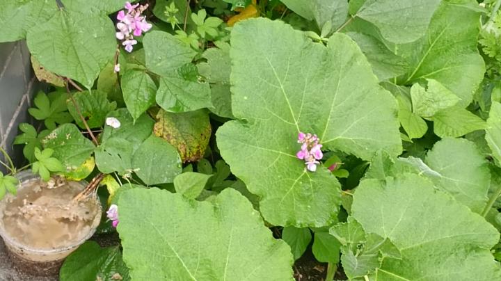 9/20/19点